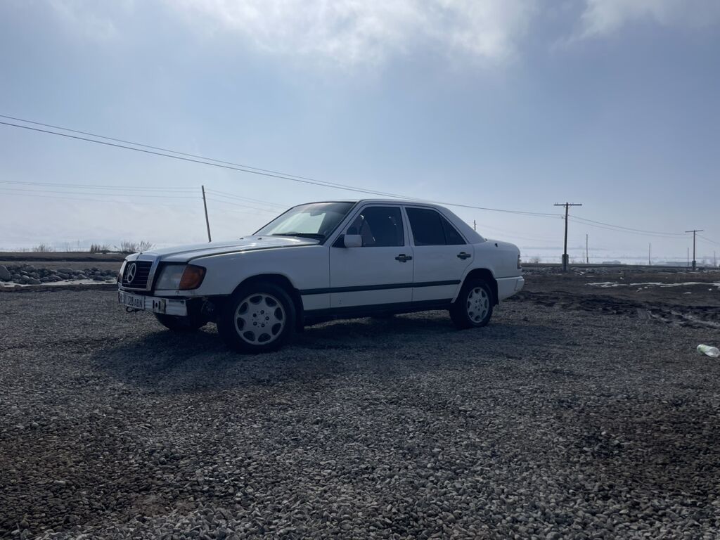 Mercedes-Benz W124